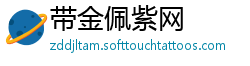 带金佩紫网